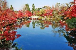 整體概覽