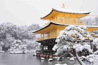 整體概覽