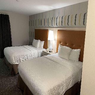 Room Room