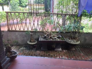 Tam Coc Hung Anh Homestay – Hostel