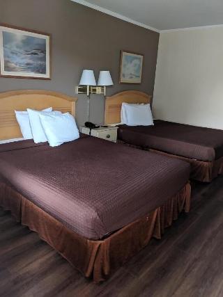 Room Room