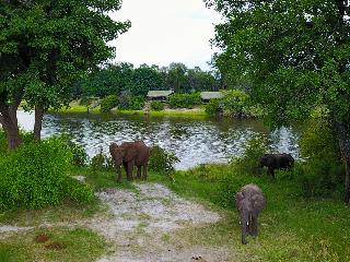 Chundu Island