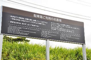 整體概覽