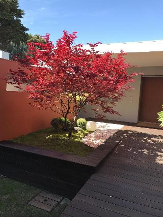 Cascais Casa Laranja Guesthouse