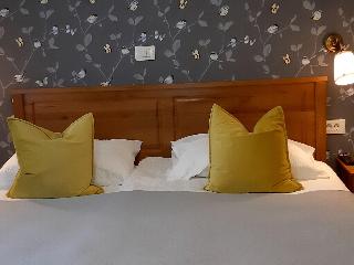 Room Room
