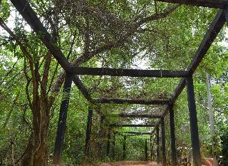 Pinthaliya Resort & Spa