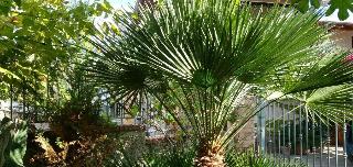 La Capannina Cilento