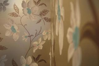 Room Room