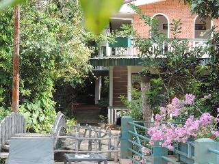 Rainforest Lodge