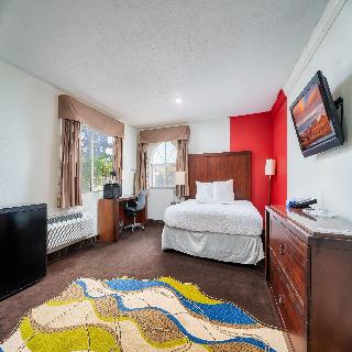 Room Room