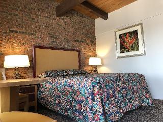 Room Room
