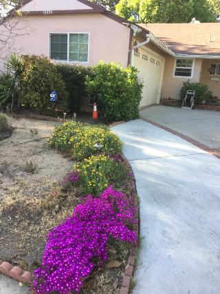 Sunshine La Bnb