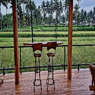Les Rizieres Lombok