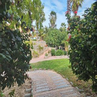 Buena vista Oceanfront & Hot Springs Resort