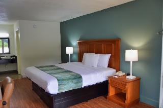 Room Room