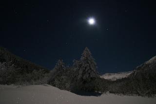整體概覽