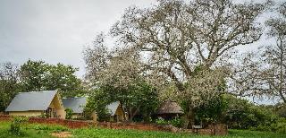 Ursula's Homestead