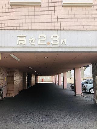 整體概覽