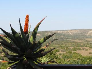 Woodbury Lodge-Amakhala Game Reserve