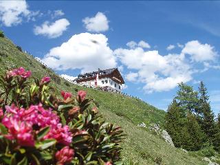 Hotel Fliesserhof