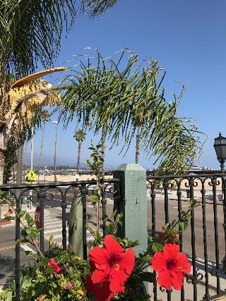 Ala Mar By The Sea