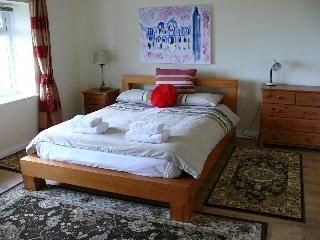 Room Room
