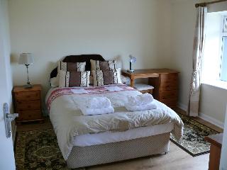 Room Room