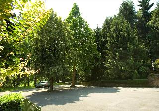 Albergo Il Castellino