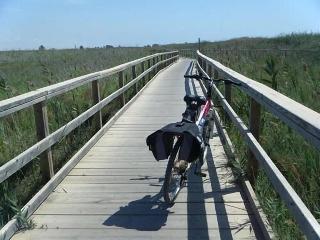 Hotel Mar Menor