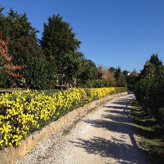 Quinta Verde Sintra