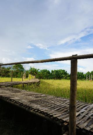 Ban Suan Tawan Chiang Dao