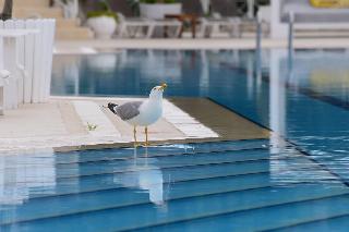 Mark Warner Phokaia Beach Resort