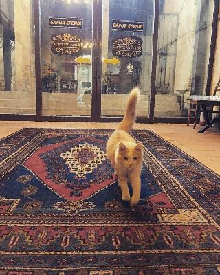 Burhanoglu Konagi Butik Otel