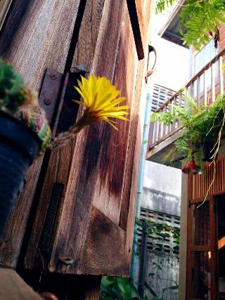 Baan Somlim Homestay