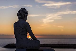 Sandhi House - Yoga & Wellness