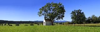 Gasthof Lamprecht