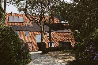 B&B Veado