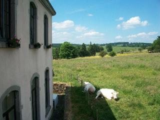 Les Ecoliers