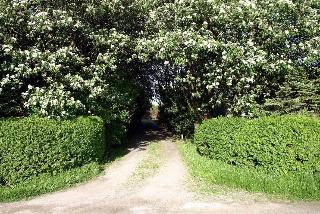 Lilla Huset på slätten B&B