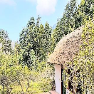 Sa House Bac Ha