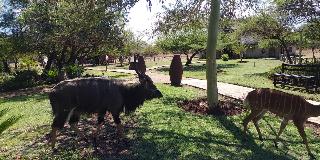 Mangwa Valley Game Lodge & Spa