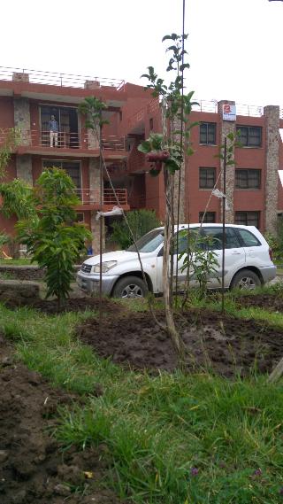 Zan-Seyoum Hotel