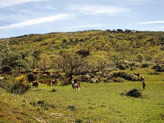 Finca El Cabezo