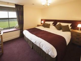 Room Room
