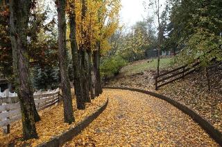 Vasilikia Mountain Farm & Retreat