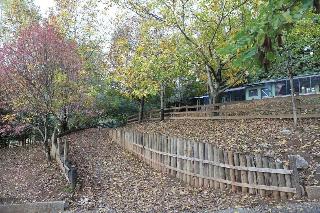 Vasilikia Mountain Farm & Retreat