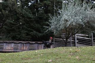 Vasilikia Mountain Farm & Retreat