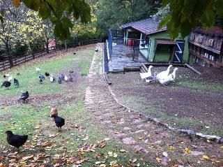 Vasilikia Mountain Farm & Retreat