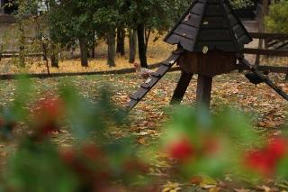Vasilikia Mountain Farm & Retreat