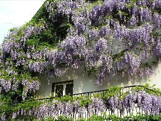 Hotel Rosenhaus Garni